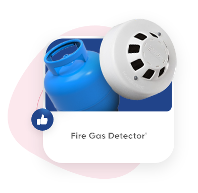 دتکتور گازی مخصوص تشخیص گازهای حاصل از حریق